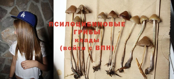 кокаин перу Бородино