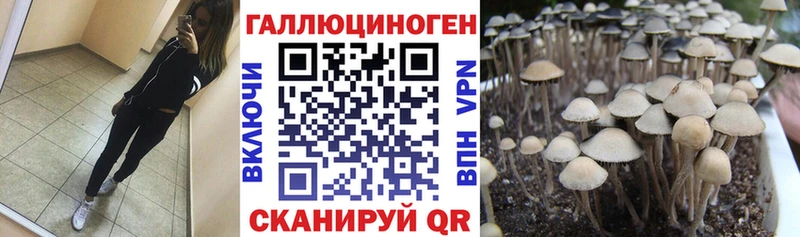 Галлюциногенные грибы ЛСД  мега   Кировград  что такое наркотик 